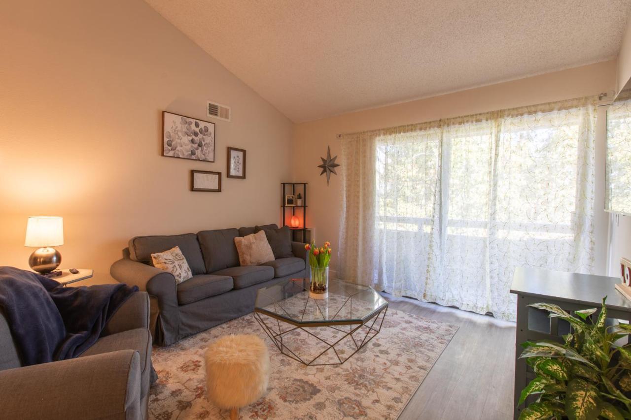 Huge Oceanside Private 2Br Apartment-Pool-Gym-Spa 外观 照片